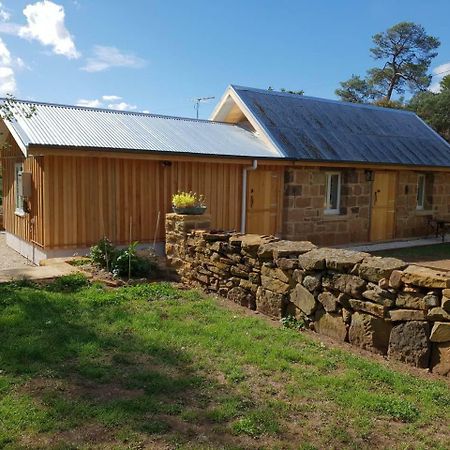 Rosendale Stables Lägenhet New Norfolk Exteriör bild